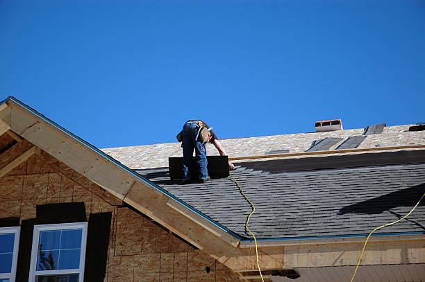 Best Roof Gutter Cleaning  in Red Oak, IA